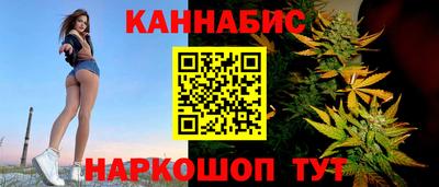 мет Кингисепп