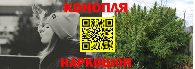 мет Кингисепп