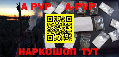 мет Кингисепп