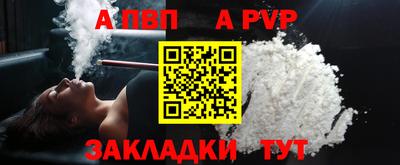 мет Кингисепп