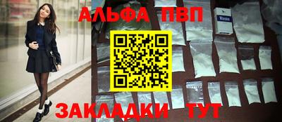 мет Кингисепп